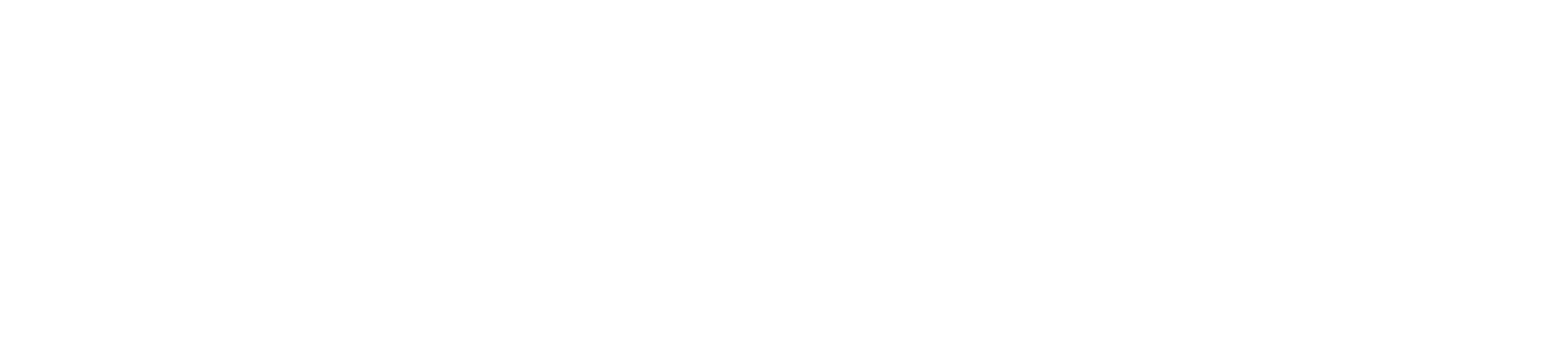 LogoWT